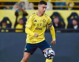 本赛季珀尔特尔缺席，猛龙在内线场均净负对手8.1分